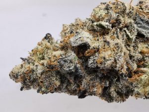 pink-goo-aaaa-strain